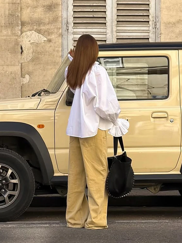 女性用ホワイトVネックタイフロントランタンスリーブシャツルー - Tie Front Shirt のレビューと価格