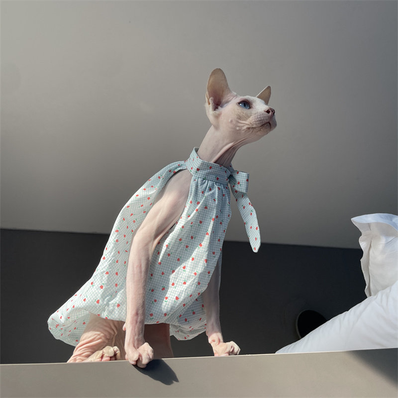 夏の猫服 スウィートライトブルー ダブルレイヤー 軽量コット - Summer Light Clothing のレビューと価格